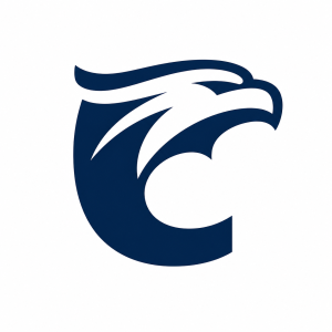Clemvirtual
